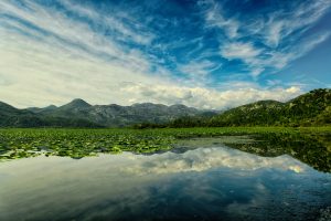 A tranquil lake covered with green water lilies stretches across the foreground, reflecting the cloudy blue sky and the surrounding mountains. In the background, the mountains rise gently, showcasing a mix of lush greenery and rocky terrain. Taken at Scadar Lake. Montenegro.