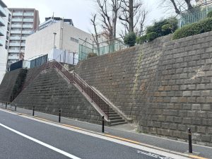 A view of a concrete staircase leading up a sloped wall, flanked by grassy areas with some small bushes at the top. 