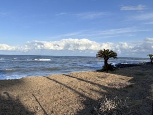 A coastal scene featuring a sandy area with dry grass in the foreground, leading to the ocean with gentle waves. 