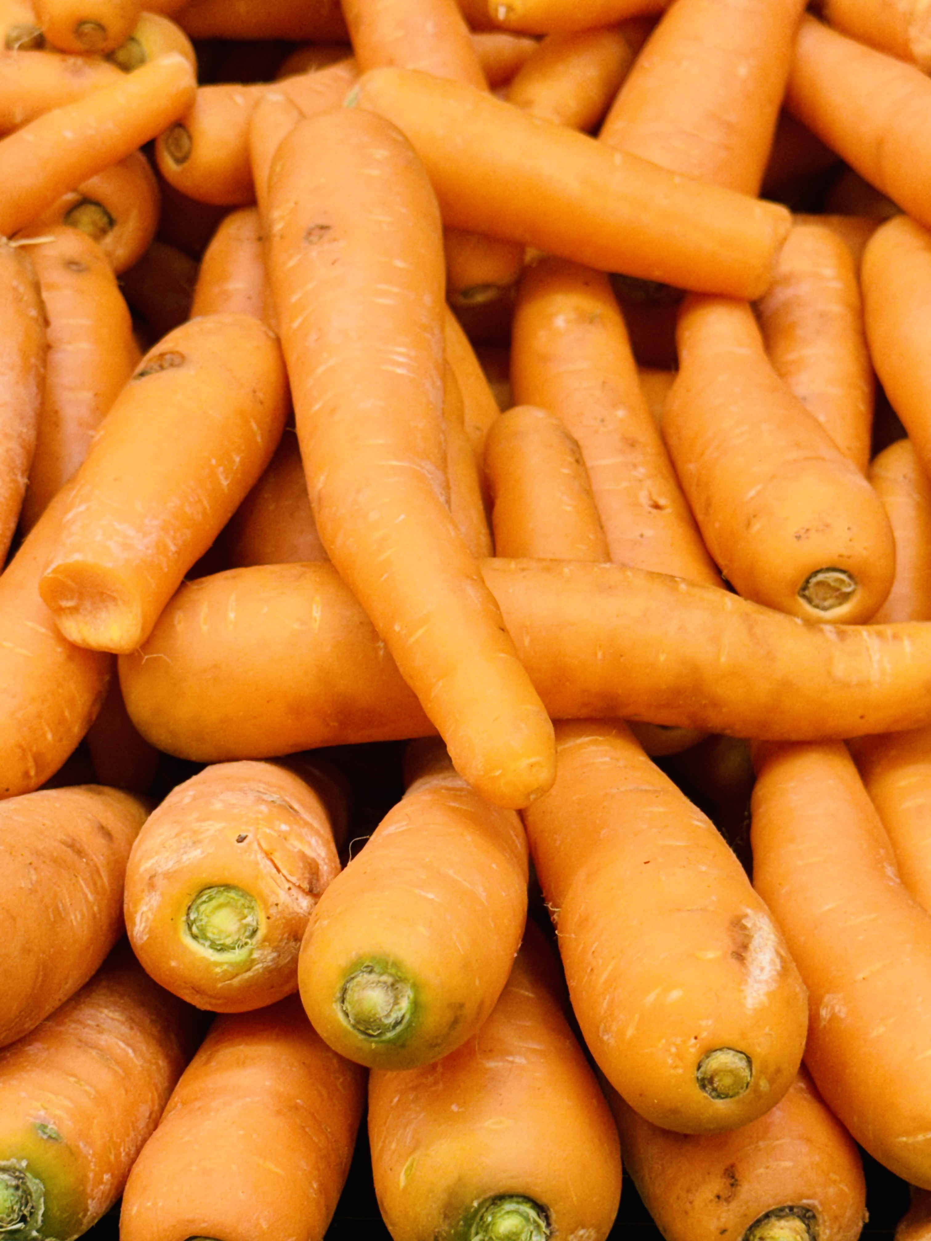 A close-up of a pile of fresh, vibrant orange carrots, showcasing their smooth texture and green tops