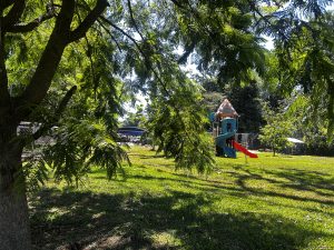 A colorful playground structure with a slide sits in a grassy area, partially obscured by leafy branches from nearby trees. Bright sunlight filters through the foliage, casting playful shadows on the ground, while a fence and additional greenery can be seen in the background.