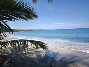 The image captures a serene tropical beach scene under a clear blue sky. Gently rolling waves of turquoise water wash onto the pale sandy shore, while lush green palm fronds frame the view, casting soft shadows on the sand. In the distance, a verdant coastline stretches along the horizon, completing this tranquil Caribbean landscape.