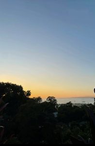 A peaceful sunset over Costa Rica’s Pacific coast, with dark green foliage and palm trees in the foreground and a calm ocean under a golden-to-blue sky.