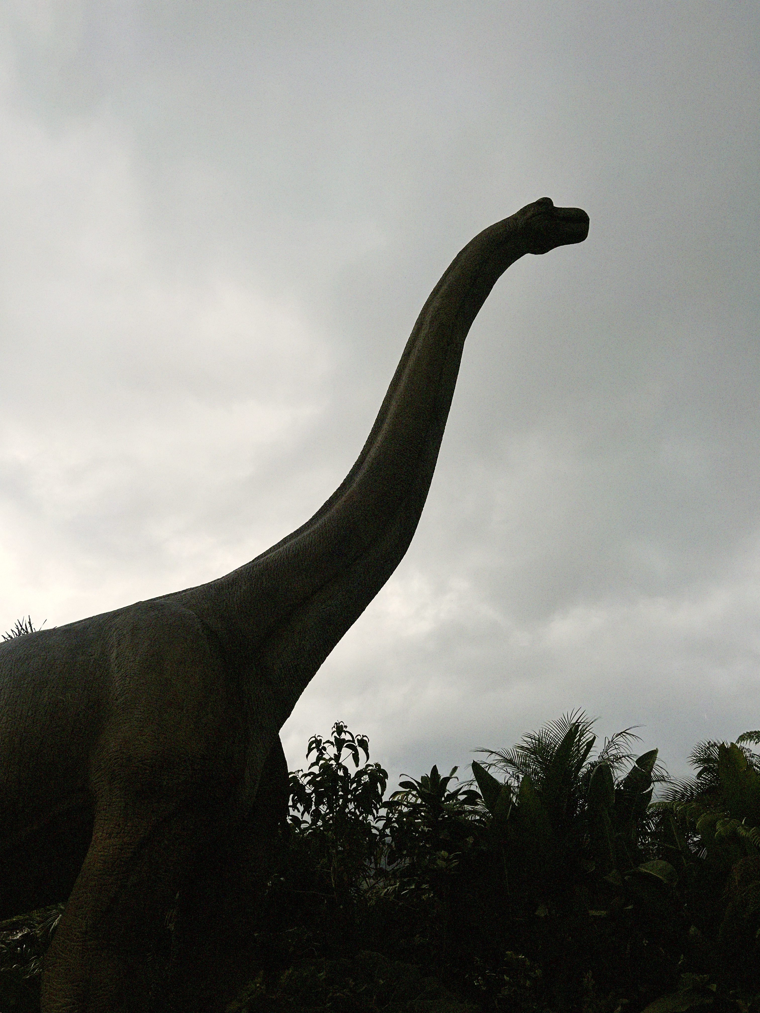 A silhouette of a long-necked dinosaur sculpture against a cloudy sky, surrounded by lush greenery. The dinosaur's neck stretches upward, emphasizing its height and large stature.