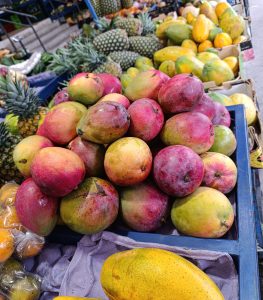 A vibrant display of ripe mangoes in various shades of green, yellow, and pink are stacked in a blue crate. In the background, pineapples and papayas are visible, along with other assorted fruits arranged neatly at a market stall, creating a colorful and inviting scene.