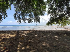 A beach with a swing hanging from a tree and the ocean in the background, in Puerto Viejo, South Caribbean, Costa Rica.