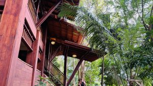 Low-angle view of a tall wooden building with balconies and warm lights, framed by palm leaves, with a person walking in a forested area below.