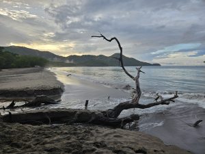 A serene beach scene at sunset featuring soft sand and gentle waves lapping at the shore