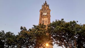 Illuminated clock tower rising above leafy trees at twilight, with a streetlight glowing near the bottom of the image.