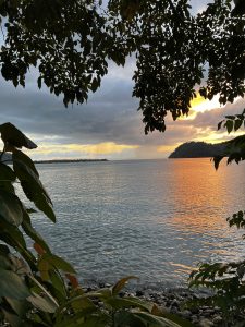 
A tranquil seascape at sunset, framed by lush foliage in the foreground.