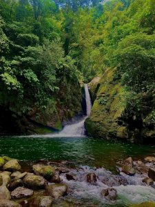 A small waterfall flows between moss-covered rocks into a clear green pool, surrounded by dense tropical forest with smooth stones and shallow water in the foreground.