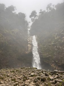 
A waterfall cascades down a rocky cliff, surrounded by lush greenery and tall trees shrouded in mist. 