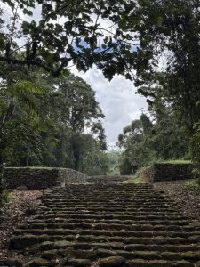 
A stone stairway, partially covered in moss, leads through a lush, green landscape