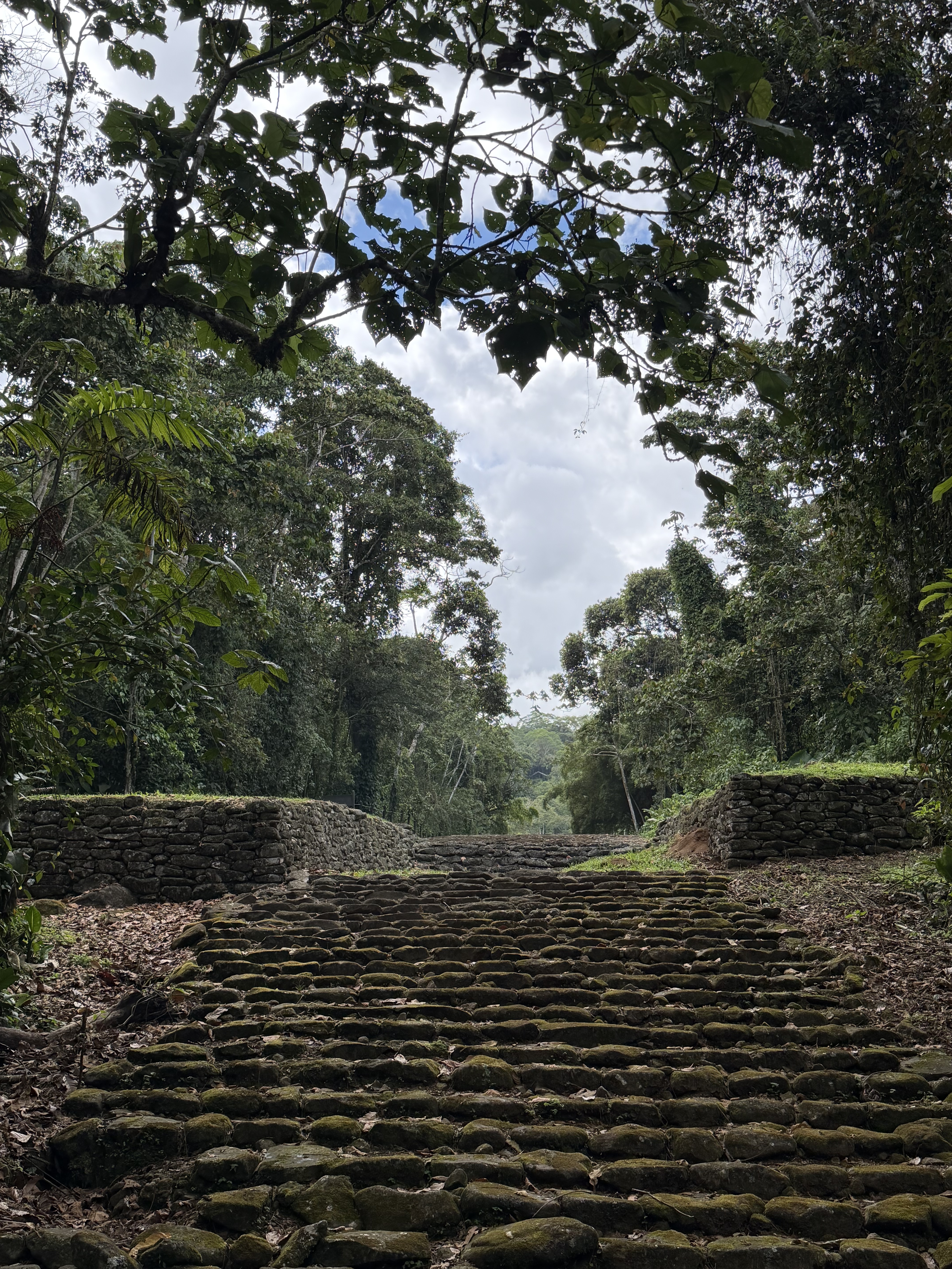 A stone stairway, partially covered in moss, leads through a lush, green landscape