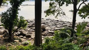 High-angle view through dark tree trunks toward a rocky shoreline and calm bay with scattered rocks, anchored boats, cliffs, and dense tropical foliage under an overcast sky.