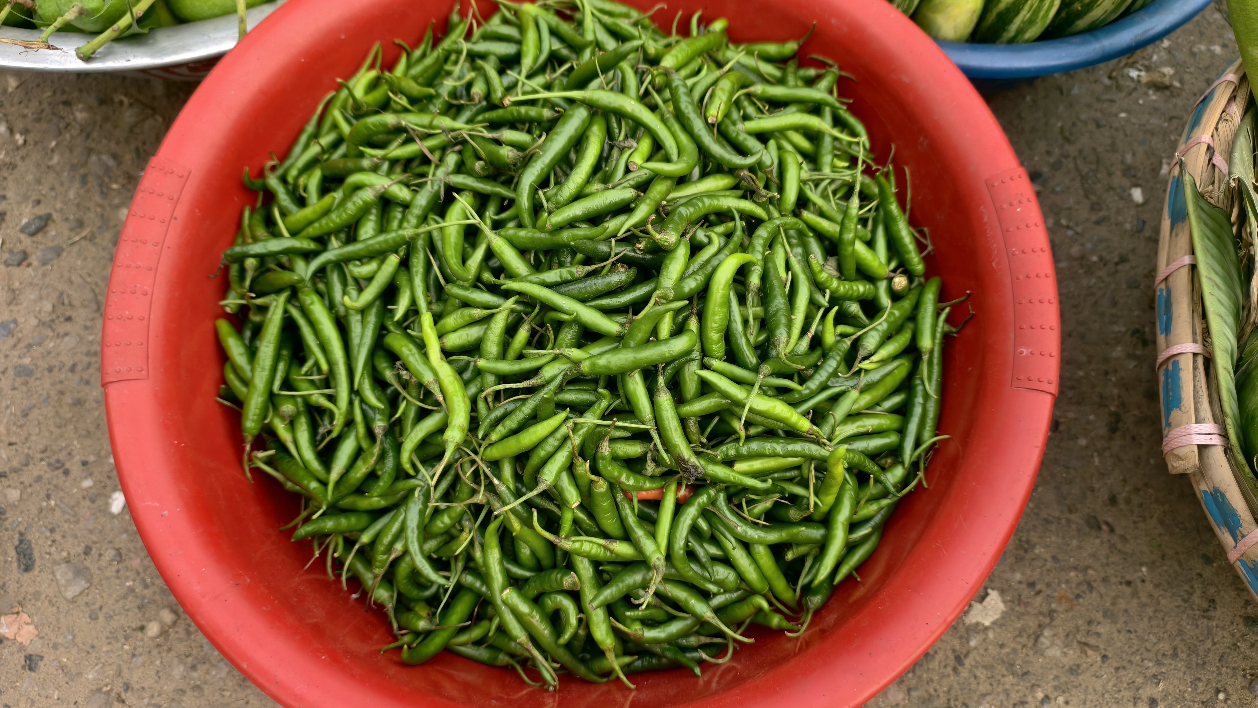 A large red plastic bowl is filled to the top with many fresh green chili peppers at an outdoor market.