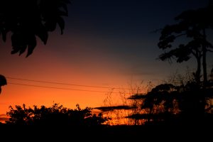 A calm sunset with the sky fading from deep blue to warm orange, thin clouds catching the light, and dark shapes of trees and bushes framing the scene.