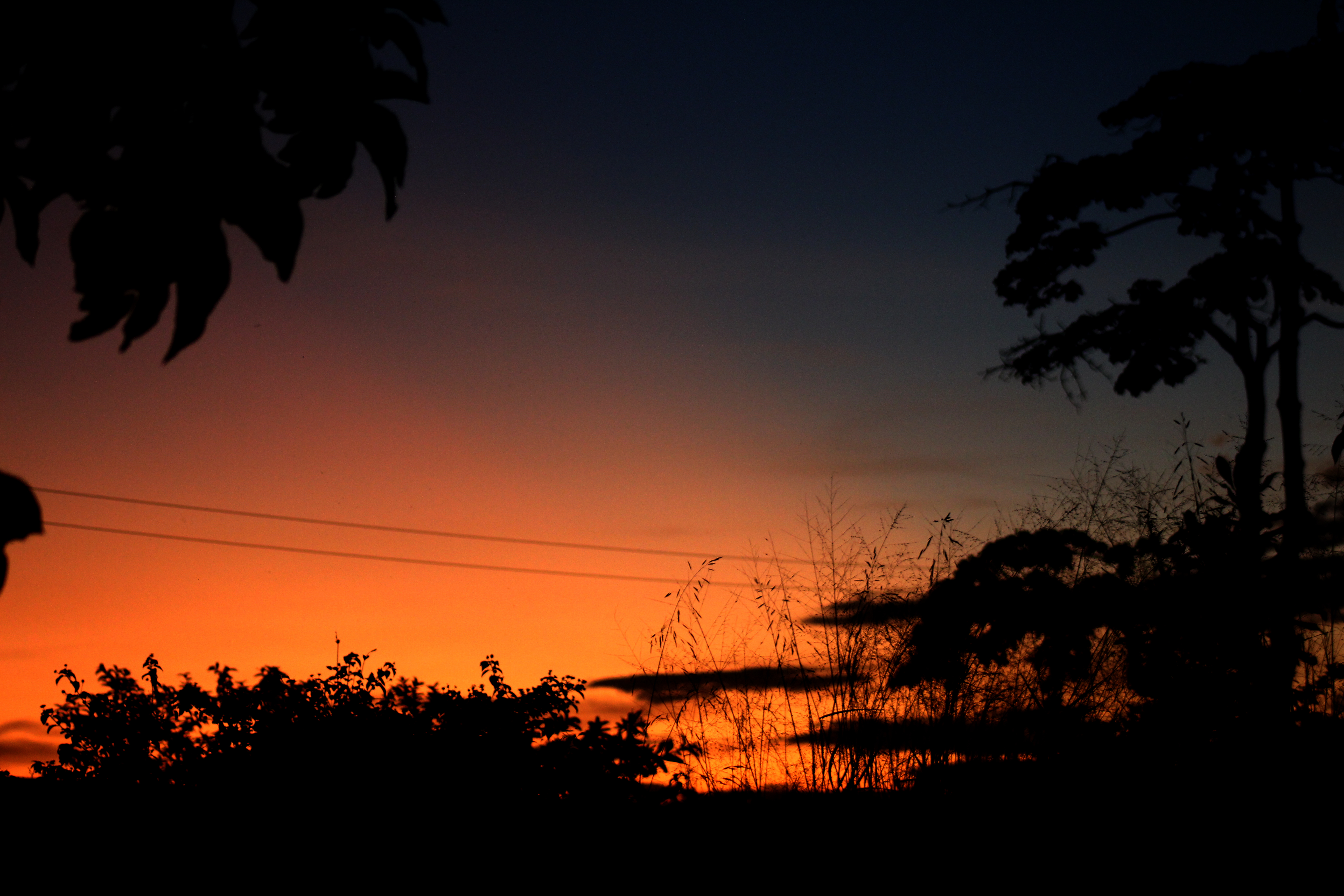 A calm sunset with the sky fading from deep blue to warm orange, thin clouds catching the light, and dark shapes of trees and bushes framing the scene.