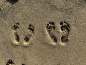 Three sets of footprints in the sand, with two smaller footprints next to larger ones, suggesting the presence of both a child and an adult.