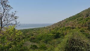 View of Atal Bihari Vajpayee Sewri–Nhava Sheva Atal Setu from Canon Hill at Elephanta Caves, overlooking the Arabian Sea with the long sea bridge stretching across the horizon under a clear sky.