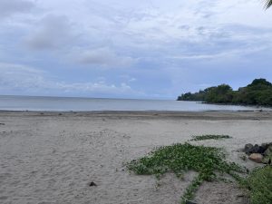 
A tranquil beach scene featuring a wide expanse of sandy shore under a cloudy sky
