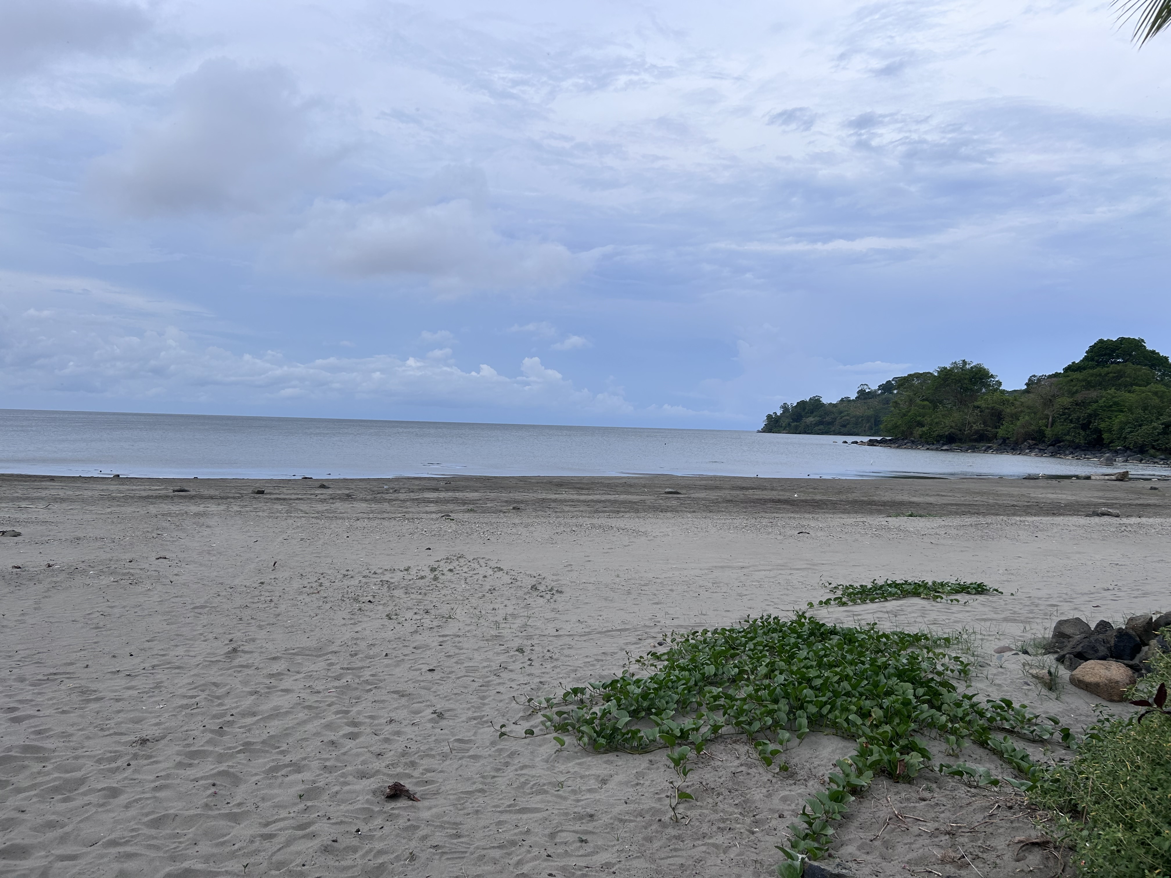 A tranquil beach scene featuring a wide expanse of sandy shore under a cloudy sky