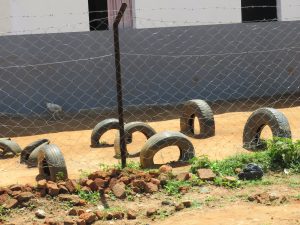 A fenced outdoor area features several used car tires arranged in a semi-circle shape on a dirt ground. In the background, there is a gray wall with a partially open window, and a small white object, possibly a bird, is seen near the wall. The foreground includes some small rocks and patches of greenery. A barbed wire fence runs along the area, dividing it from the surrounding space.