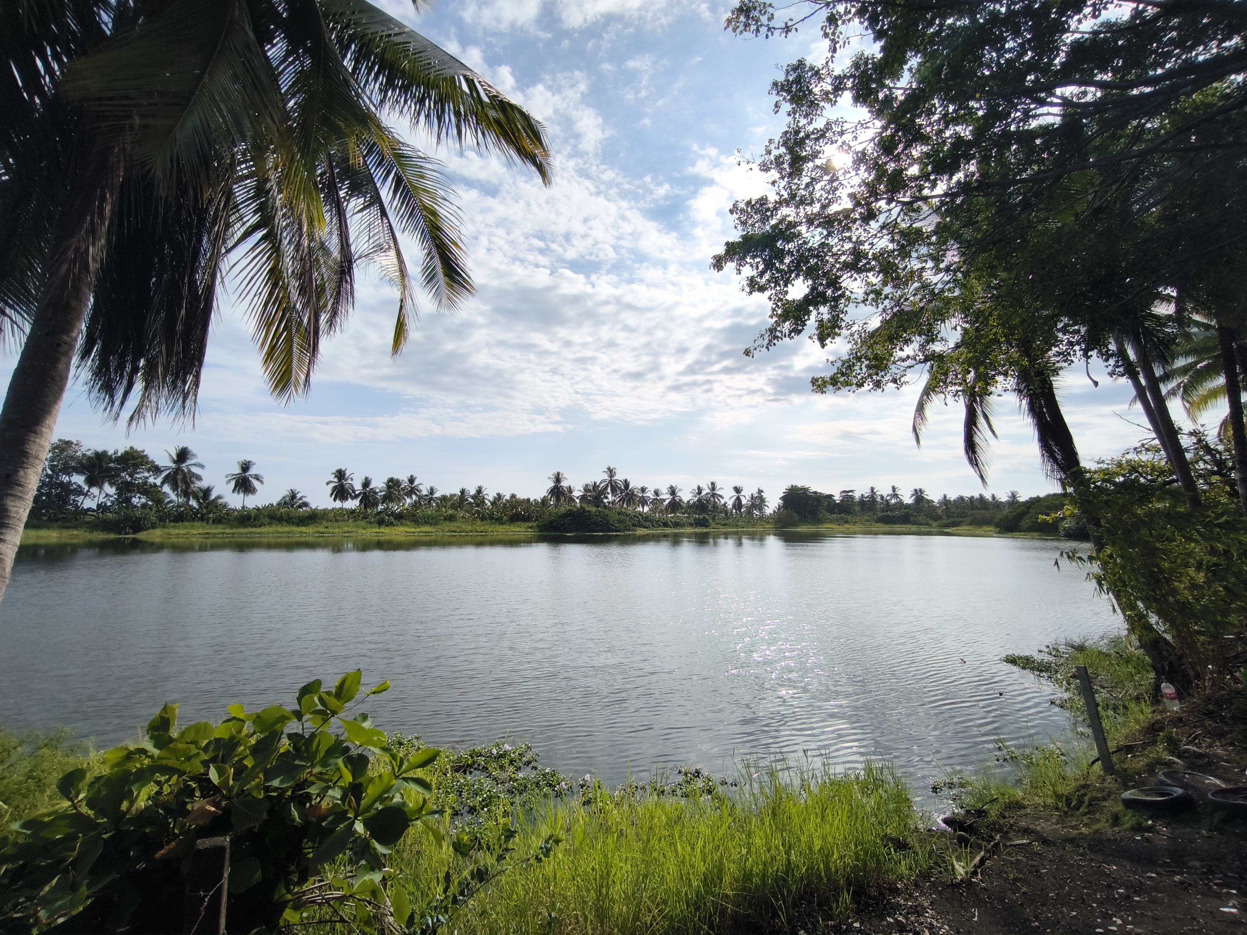 A serene tropical landscape featuring a wide, calm lake framed by lush palm trees and green vegetation under a bright, cloudy sky.