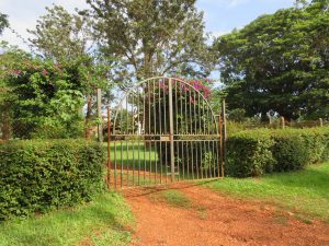 Arched Iron double gates at a church stand at the end of a red dirt path, framed by dense green hedges. Vibrant pink bougainvillea spills over the top of the metal structure, leading into a lush garden with mature trees and a manicured lawn under a bright sky. #WPJinjaPhotoWalk