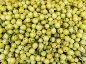 

A close-up view of a large pile of greenish-yellow Indian gooseberries( Amla), scattered with small twigs and leaves