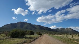 A dirt road stretches through a rural landscape, flanked by green bushes and grass.