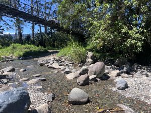 A peaceful stream with smooth stones, green banks, and trees casting soft light, crossed by a suspension bridge under a bright blue sky.