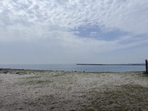Sandy beach with sparse grass in the foreground, leading to calm water at Tokyo Bay near Inage Seaside Park.