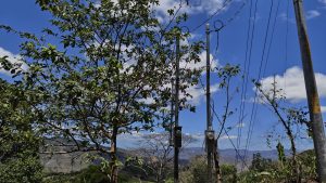 A clear blue sky with a few fluffy clouds forms the backdrop for a landscape of trees and utility poles in Hojancha, Guanacaste.