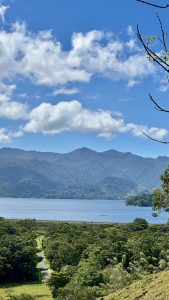 View of San Carlos with trees, a hydroelectric dam, and mountains in the distance.