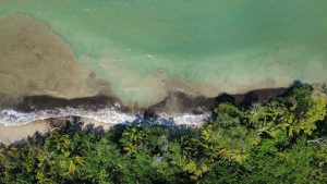 Aerial view of a tropical beach with waves meeting the shoreline and green vegetation.