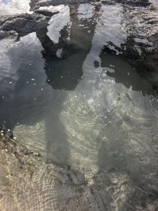 A shallow body of water with rocky edges reflects a cloudy sky, with ripples, shadows of rocks and possibly a person, and shifting light patterns underwater.