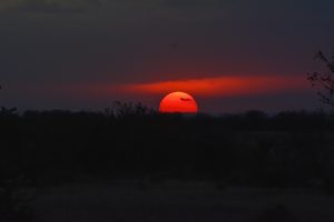 A bright red sun setting over the Masai Mara, Kenya. The sky is dark with clouds, and a thin cloud passes across the sun as it touches the horizon.
