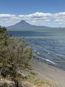 A serene view of a Nicaraguan volcanic lake; the calm blue water meets a dark sandy shoreline peppered with volcanic stones and vibrant green bushes with bright yellow blossoms.
