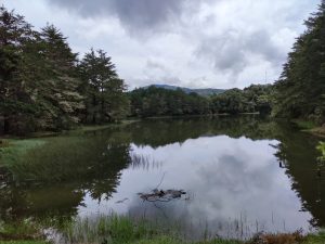 A peaceful mountain lagoon surrounded by a dense cypress forest, with its calm waters perfectly reflecting the cloudy sky and lush green mountains of Costa Rica's highlands.