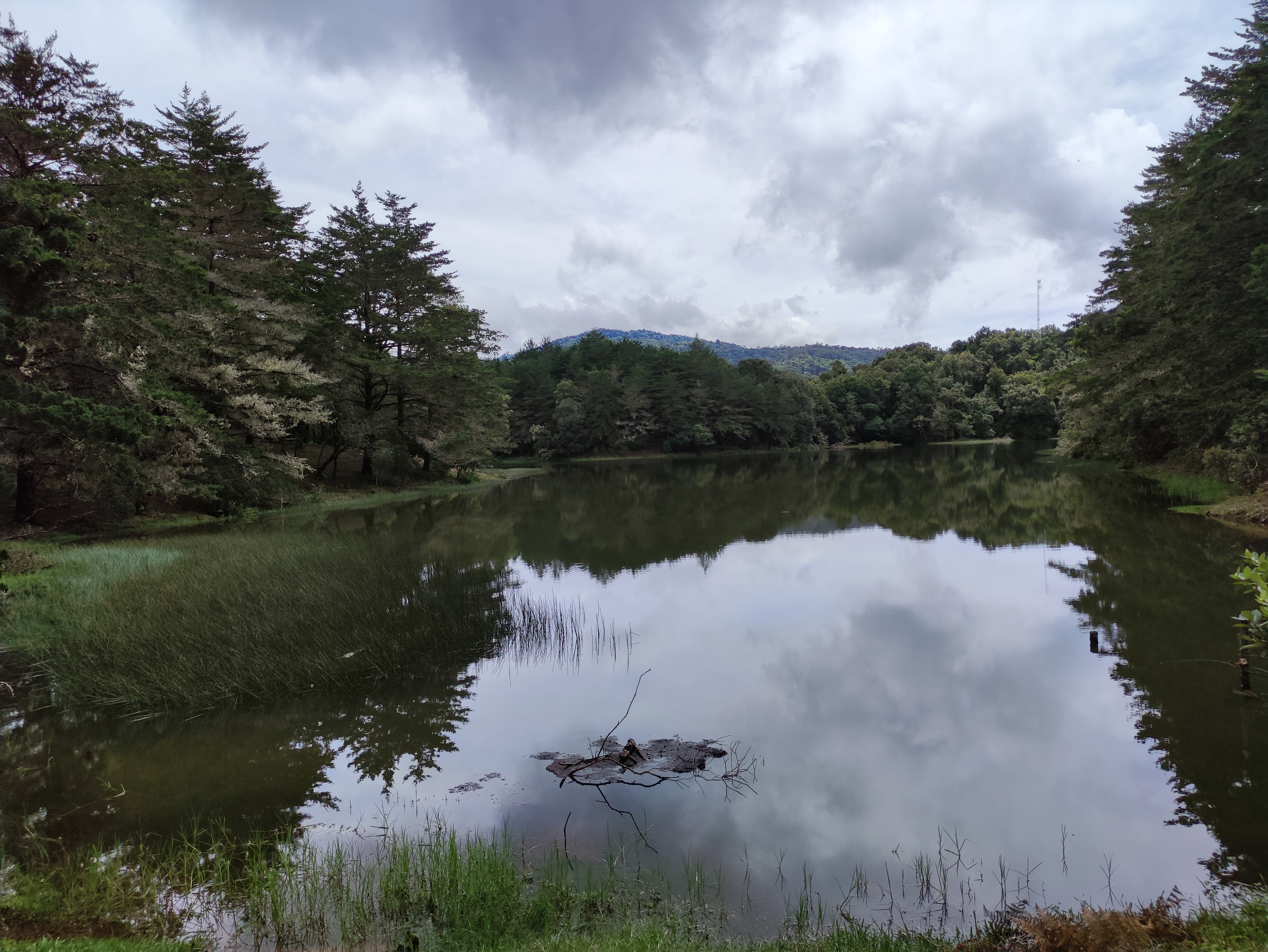A peaceful mountain lagoon surrounded by a dense cypress forest, with its calm waters perfectly reflecting the cloudy sky and lush green mountains of Costa Rica's highlands.