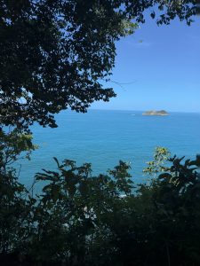 A scenic view of a calm blue ocean framed by lush green foliage. In the distance, a small island can be seen, surrounded by the clear water under a bright blue sky