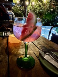 A large balloon gin glass with a green stem holds a blush-pink gin and tonic over ice, garnished with a watermelon slice on the rim. String lights and lush foliage glow softly in the background of an outdoor terrace in Bogotá, Colombia.