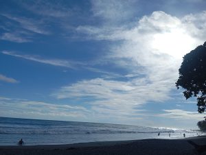 A lively coastal view with the sun shining brightly through thin clouds, casting reflections on the ocean. People can be seen along the shoreline enjoying the water, while a tree frames the right side of the image. The scene feels warm, vibrant, and full of life.