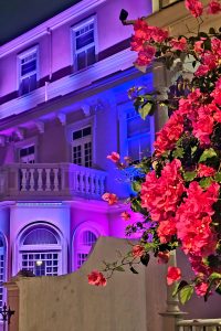 A nighttime photograph of a house illuminated with vibrant purple and blue lights, complemented by bright pink flowers in the foreground. The contrast between the artificial lighting and natural elements creates a visually striking composition. - San José Costa Rica
