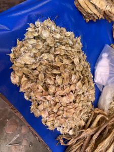 A pile of small, dried fish with eyes visible, displayed on a bright blue tarp at a market. Nearby, some elongated dried fish are seen.