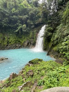 
A tranquil scene featuring a cascading waterfall surrounded by lush green foliage.