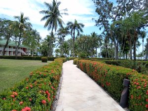 A winding pathway lined with lush green hedges and vibrant red flowers leads through a landscaped area with palm trees and tropical vegetation.