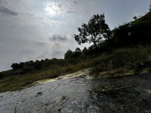 Flowing river with algae patches and rolling green hills under a cloudy sky.