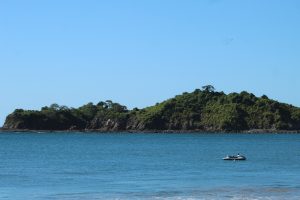 Small island with dense green vegetation and rocky cliffs, calm blue sea, jet ski floating, clear blue sky.